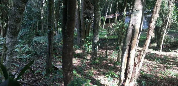 Fazenda / Sítio / Chácara com 1 Quarto à venda, 7211m² no Tatetos, São Bernardo do Campo