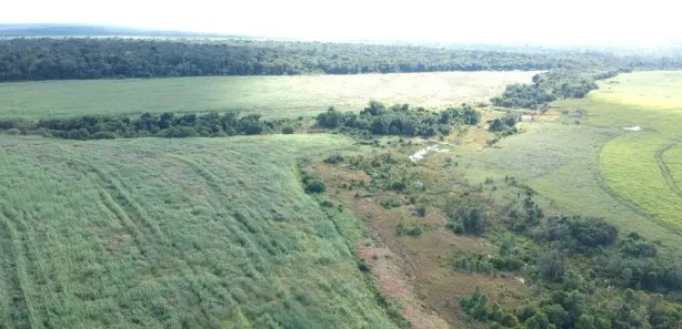 com 1 Quarto à venda, 78m² no , Leópolis