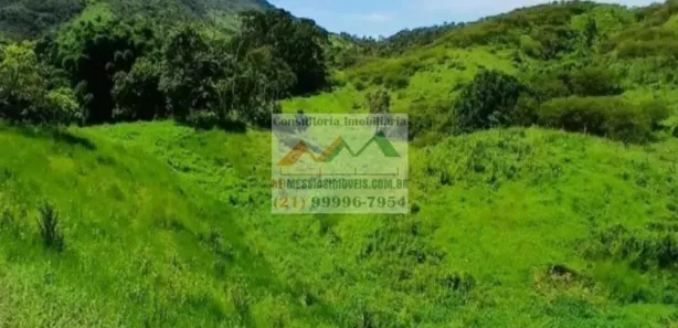 Fazenda / Sítio / Chácara com 1 Quarto à venda, 250000m² no , Rio Bonito