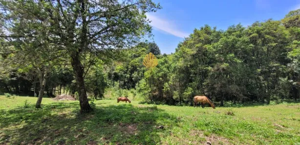 Fazenda / Sítio / Chácara com 1 Quarto à venda, 29519m² no , Tijucas do Sul
