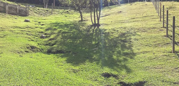 Galpão / Depósito / Armazém com 1 Quarto à venda, 3186m² no Centro, Campo Magro