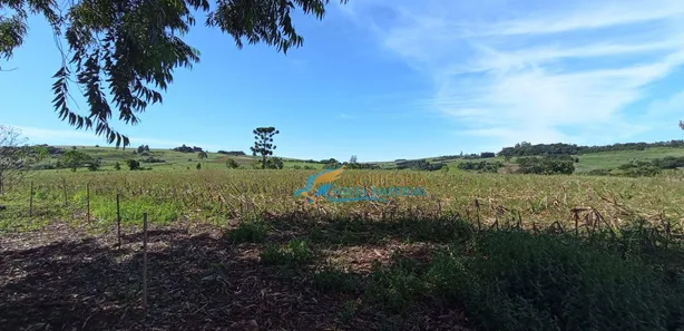 Fazenda / Sítio / Chácara com 4 Quartos à venda, 500m² no , Catanduvas