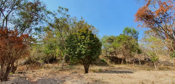 Terreno / Lote / Condomínio à venda, 20000m² no , Fortuna de Minas