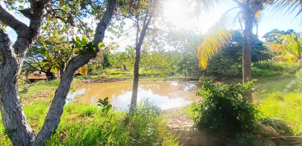 Fazenda / Sítio / Chácara com 3 Quartos à venda, 25000m² no , Taquaraçu de Minas