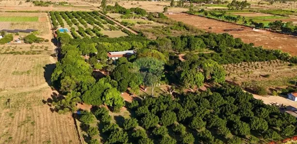 Fazenda / Sítio / Chácara com 4 Quartos à venda, 50000m² no Brazlândia, Brasília