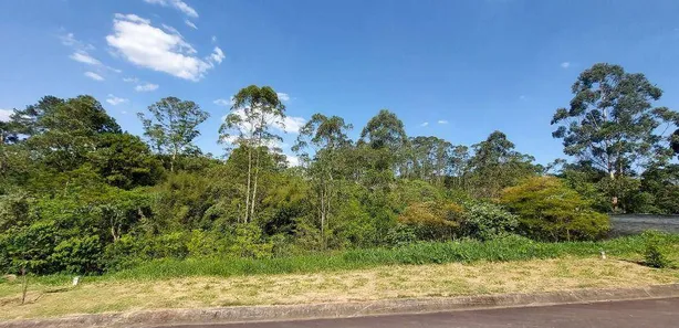 Terreno / Lote / Condomínio à venda, 503m² no Portal do Santa Paula, Cotia