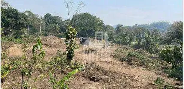 Terreno / Lote / Condomínio para alugar, 5225m² no Vale da Figueira (Ponta Negra), Maricá