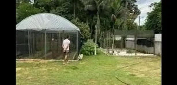 Fazenda / Sítio / Chácara com 4 Quartos à venda, 60000m² no Tinguá, Nova Iguaçu