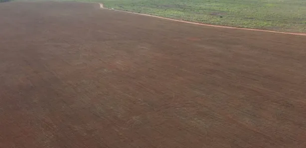 Fazenda / Sítio / Chácara à venda, 100190000m² no , Pedro Afonso