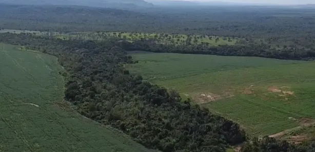 Fazenda / Sítio / Chácara à venda, 230m² no , Goiatins