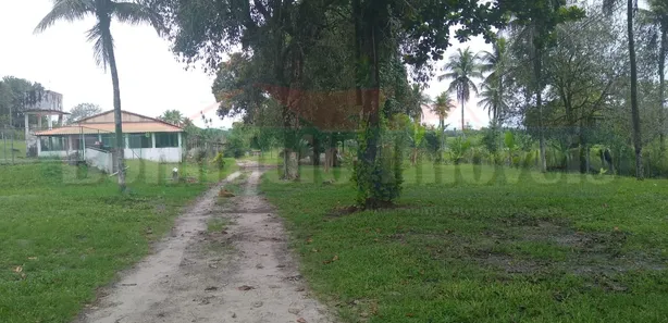 Fazenda / Sítio / Chácara com 6 Quartos à venda, 220m² no Vale das Pedrinhas, Guapimirim