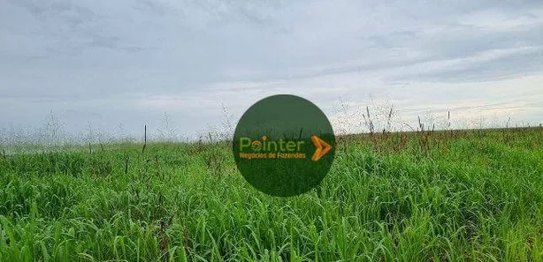 Fazenda / Sítio / Chácara à venda, 9937125m² no , Pedro Afonso