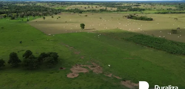 Fazenda / Sítio / Chácara à venda, 1306m² no , Arapoema