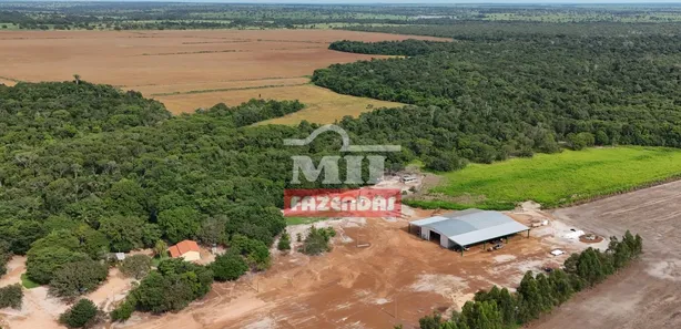 Fazenda / Sítio / Chácara à venda, 500m² no , Pium