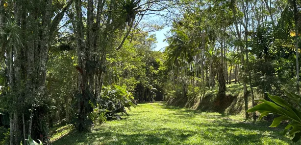 Fazenda / Sítio / Chácara com 4 Quartos à venda, 249m² no , Juquitiba
