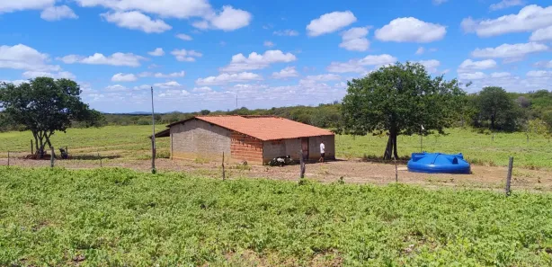 Fazenda / Sítio / Chácara com 2 Quartos à venda, 114m² no Gercino Coelho, Petrolina