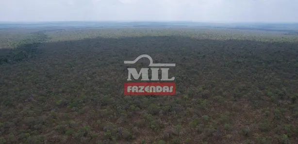 Fazenda / Sítio / Chácara à venda, 500m² no , Guaraí