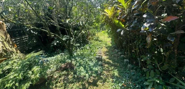 Terreno / Lote / Condomínio à venda, 3363m² no Rio Grande, São Bernardo do Campo