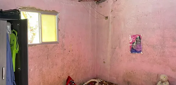 Fazenda / Sítio / Chácara com 3 Quartos à venda, 141m² no Palmares, Paty do Alferes