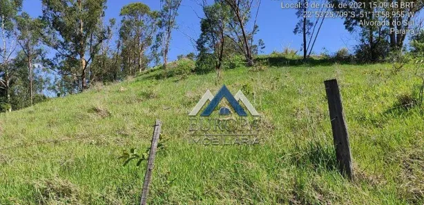 Fazenda / Sítio / Chácara com 2 Quartos à venda, 151m² no Rural, Alvorada do Sul