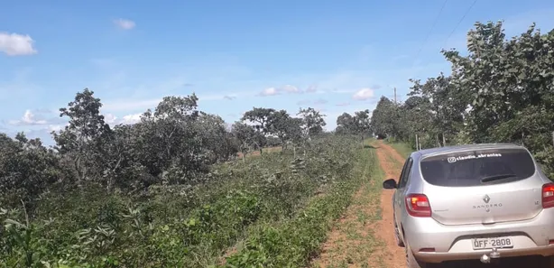 Fazenda / Sítio / Chácara à venda, 20000m² no Jardim Roriz, Brasília
