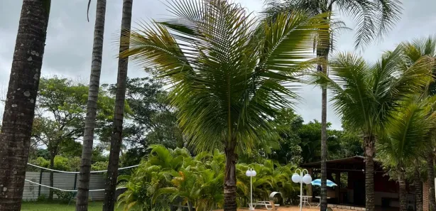 Fazenda / Sítio / Chácara com 3 Quartos à venda, 4000m² no Brazlândia, Brasília
