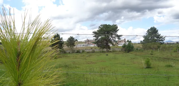 Fazenda / Sítio / Chácara com 3 Quartos à venda, 450m² no Itapira, Quatro Barras