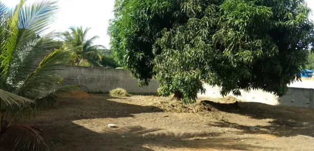 Fazenda / Sítio / Chácara com 2 Quartos à venda, 1000m² no , Satuba