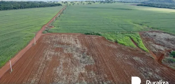 Fazenda / Sítio / Chácara à venda, 706m² no , Paraíso do Tocantins