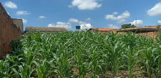 Terreno / Lote / Condomínio à venda, 300m² no Solar Monte Cristo, Senador Canedo
