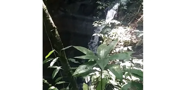 Fazenda / Sítio / Chácara à venda, 508200m² no , Piedade