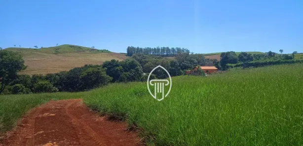 Fazenda / Sítio / Chácara à venda, 387200m² no Cruzeiro do Norte, Uraí