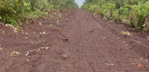 Fazenda / Sítio / Chácara à venda, 142m² no , Lagoa da Confusão