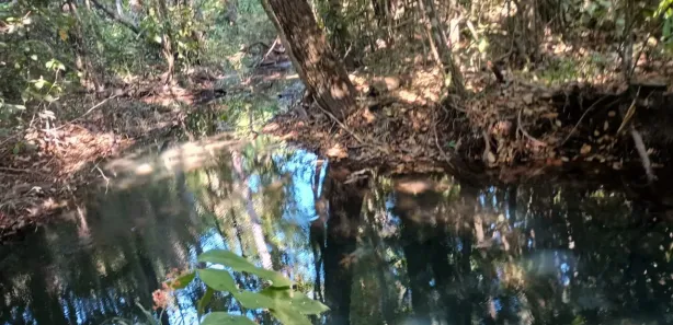 Fazenda / Sítio / Chácara com 3 Quartos à venda, 30000m² no , Brasília
