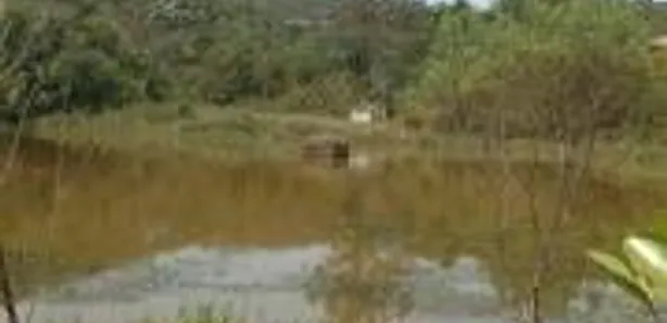 Terreno / Lote / Condomínio à venda, 20000m² no , Caeté