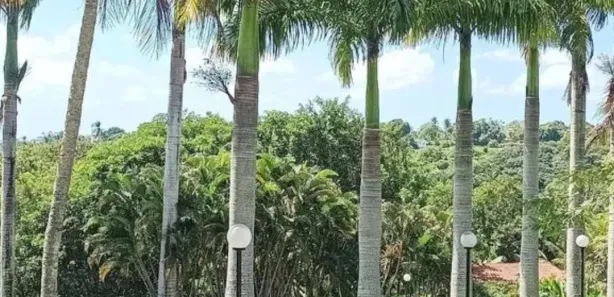 Terreno / Lote / Condomínio à venda, 488m² no Moreno, Moreno