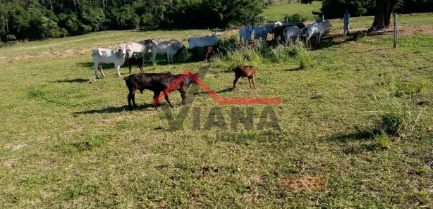 Fazenda / Sítio / Chácara à venda, 179000m² no Vila Cesari Purgato, Mombuca