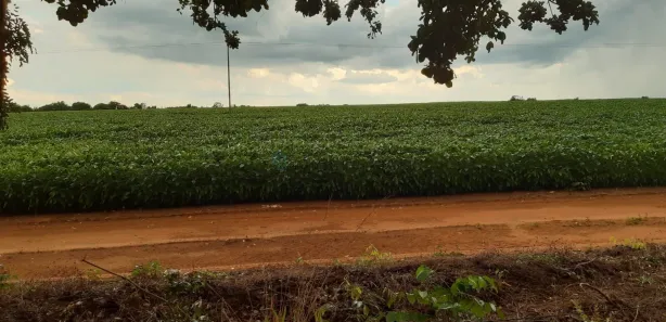 com 3 Quartos à venda, 580m² no , Santa Maria do Tocantins