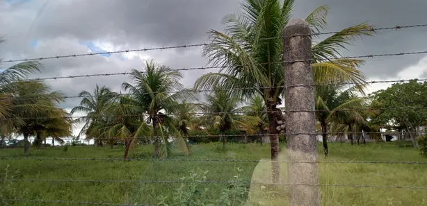Fazenda / Sítio / Chácara com 3 Quartos à venda, 30000m² no Centro, Taipu