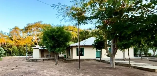 Fazenda / Sítio / Chácara com 5 Quartos à venda, 3623m² no , Porto Nacional