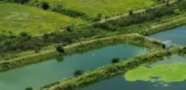 Fazenda / Sítio / Chácara com 2 Quartos à venda, 326000m² no , Pilar