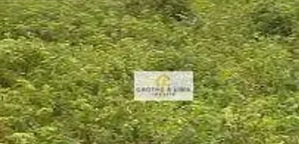 Fazenda / Sítio / Chácara com 8 Quartos à venda, 600m² no São José, Formoso do Araguaia