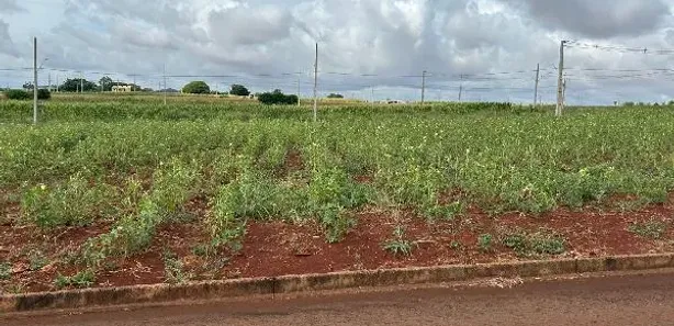 Terreno / Lote / Condomínio com 1 Quarto à venda, 245m² no Assis Chateaubriand, Assis Chateaubriand