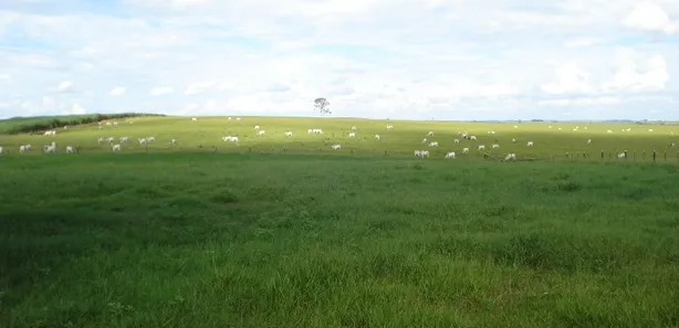 Fazenda / Sítio / Chácara com 3 Quartos à venda, 75m² no , Pompéia
