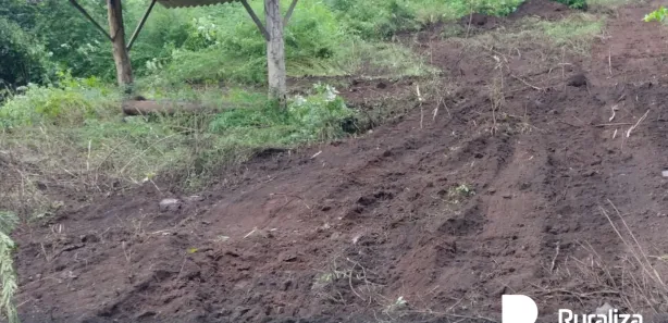 Fazenda / Sítio / Chácara à venda, 430m² no , Guaraí