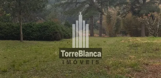 Fazenda / Sítio / Chácara com 3 Quartos à venda, 70m² no Guaragi, Ponta Grossa