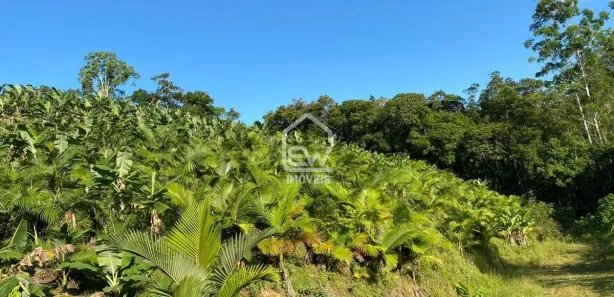 Fazenda / Sítio / Chácara com 1 Quarto à venda, 101850m² no Sete de Janeiro, Massaranduba