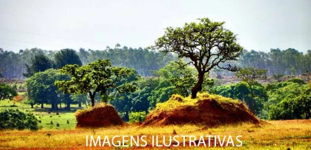Fazenda / Sítio / Chácara à venda, 90000000m² no , Morros