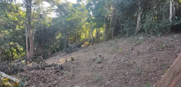 Terreno / Lote / Condomínio à venda, 486m² no Barão de Javary, Miguel Pereira