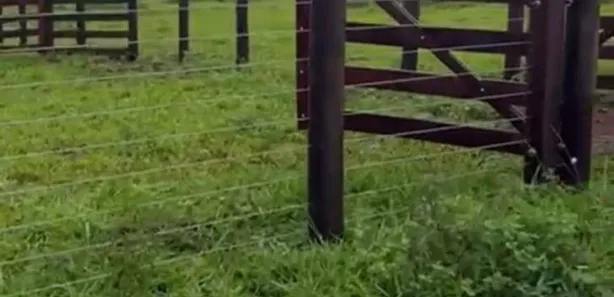 Terreno / Lote / Condomínio à venda, 64m² no Centro, Goianésia